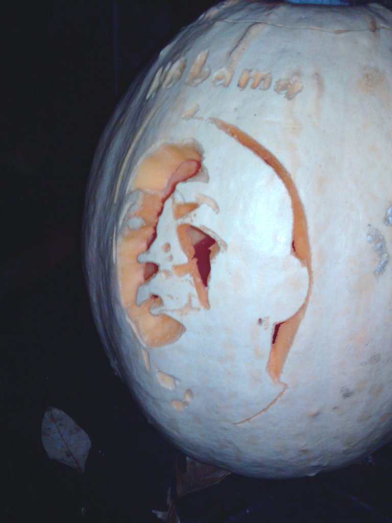 2010-10-23 20.36.23